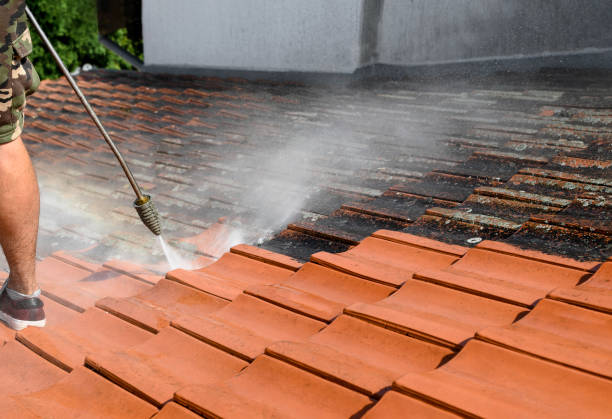 Best Power Washing Near Me  in Chattahoochee, FL