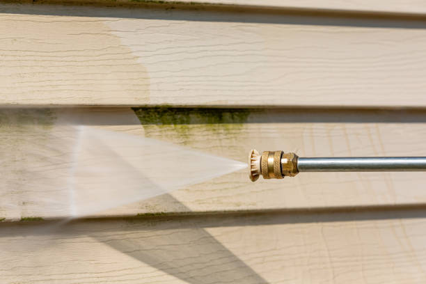 Professional Pressure Washing in Chattahoochee, FL